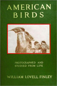 Title: AMERICAN BIRDS (Illustrated), Author: William Lovell Finley