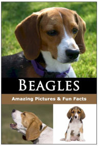 Title: Beagle Guidebook (What You Need to Know to Take the Best Care Your Beagle), Author: Kelly Ellis