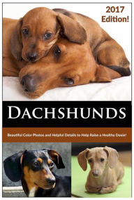 Title: Dachshunds (How to Train, Groom, Feed and Care for your Doxie), Author: Kelly Ellis