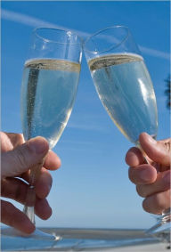 Title: Giving a Wedding Toast - Yikes!!! Here's a Guide to Help, Author: Samuel Jones