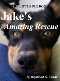 Title: The Little Pig Dog Jake's Amazing Rescue, Author: Raymond Candy