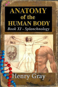 Title: Anatomy of the Human Body - Book XI Splanchnology, Author: Henry Gray