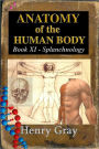 Anatomy of the Human Body - Book XI Splanchnology