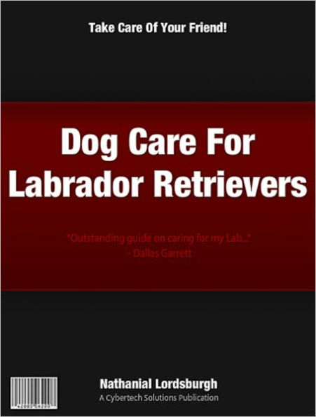 Dog Care For Labrador Retrievers