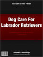 Dog Care For Labrador Retrievers