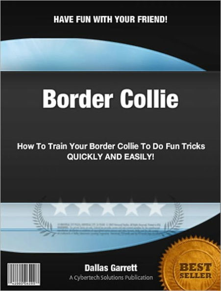 How To Train Your Border Collie To Do Fun Tricks