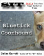 How To Train Your Bluetick Coonhound To Do Fun Tricks