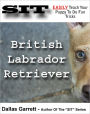 How To Train Your British Labrador Retriever To Do Fun Tricks