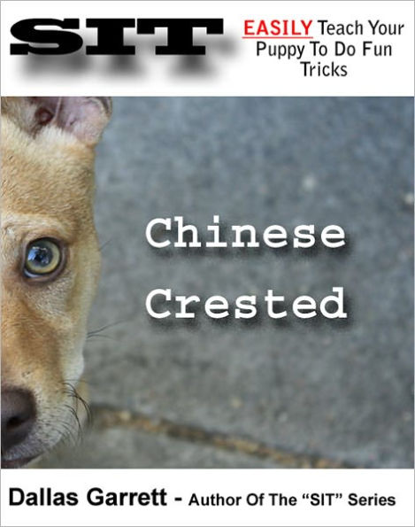 How To Train Your Chinese Crested To Do Fun Tricks