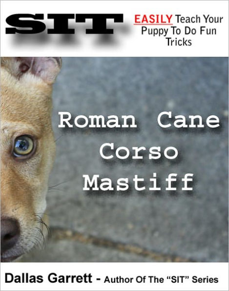 How To Train Your Roman Cane Corso Mastiff To Do Fun Tricks