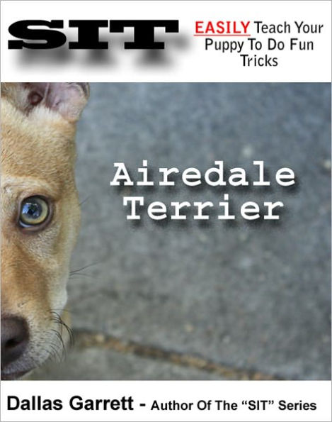 How To Train Your Airedale Terrier To Do Fun Tricks