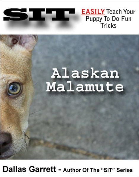 How To Train Your Alaskan Malamute To Do Fun Tricks