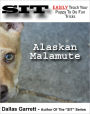 How To Train Your Alaskan Malamute To Do Fun Tricks