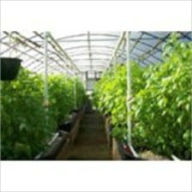 Title: All About Greenhouse Growing!, Author: John Scotts