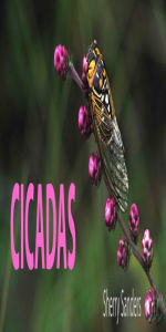 Title: CICADAS, Author: Sheryl Sanders