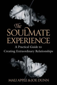 Title: The Soulmate Experience: A Practical Guide to Creating Extraordinary Relationships, Author: Mali Apple