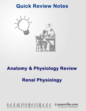 Physiology Quick Review: Renal Physiology