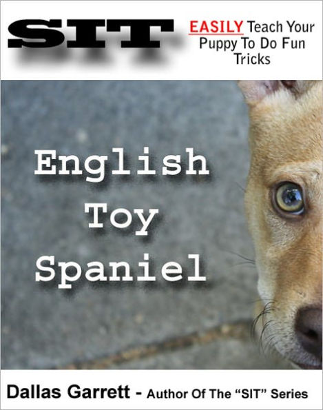 How To Train Your English Toy Spaniel To Do Fun Tricks