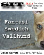 How To Train Your Fantasi Swedish Vallhund To Do Fun Tricks