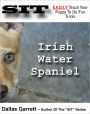 How To Train Your Irish Water Spaniel To Do Fun Tricks