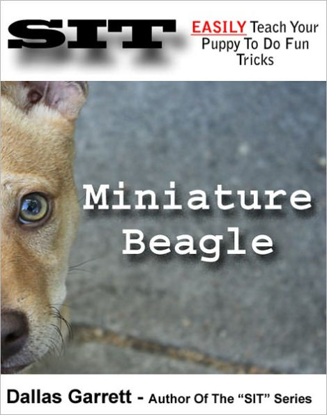 How To Train Your Miniature Beagle To Do Fun Tricks