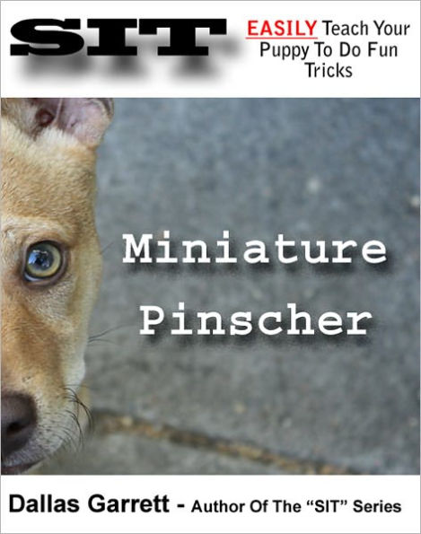 How To Train Your Miniature Pinscher To Do Fun Tricks