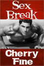 Sex Break (Erotica/Erotic Romance)