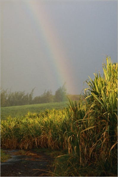 Understanding Sustainable Agriculture and the Environment