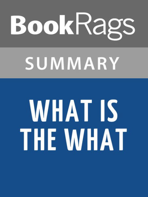 What Is the What by Dave Eggers Summary & Study Guide by BookRags.com ...