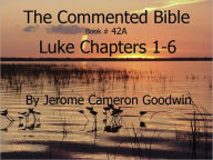 Title: A Commented Study Bible With Cross-References - Book 42A - Luke, Author: Jerome Goodwin