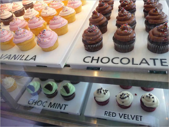 Gourmet Cupcake Baker Shop Start Up Sample Business Plan Gourmet Cupcake Baker Shop Start Up Sample Business Plan