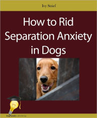 Title: How to Rid Separation Anxiety in Dogs, Author: Ivy Strief