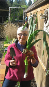 Title: Local Pleasures, Northwest Seasonal Cooking, Author: Barbara Shaw