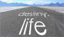 The Master of Destiny