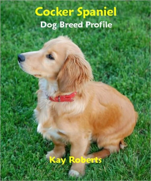 Cocker Spaniel Dog Breed Profile