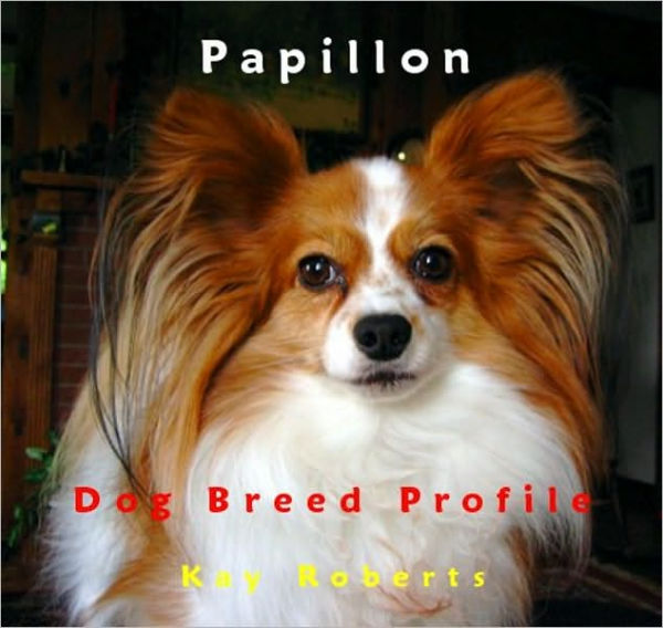 Papillon Dog Breed Profile