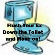 Title: Flush your Ex Down the Toilet and Move On (divorce, break up), Author: Dr. Mama Love