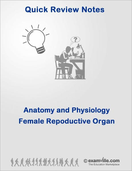 Quick Review: Female Reproductive Organ