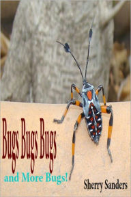 Title: Bugs Bugs Bugs and More Bugs!, Author: Sherry Sanders
