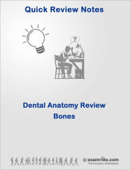 Title: Dental Anatomy Review: Bones, Author: Roy