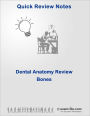 Dental Anatomy Review: Bones