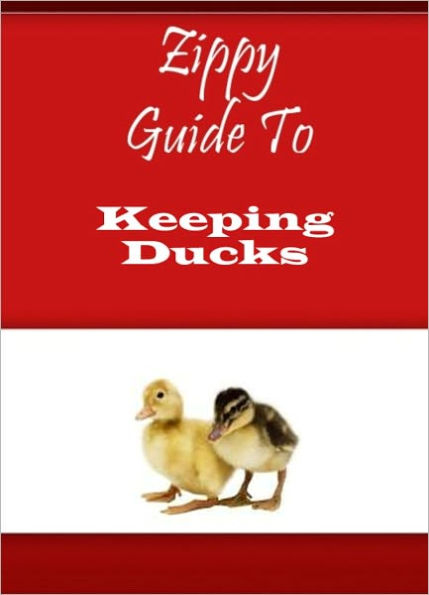 Zippy Guide To Keeping Ducks