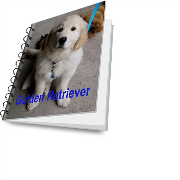 Golden Retriever Complete Pet Guide – Proper Care and Best Advices