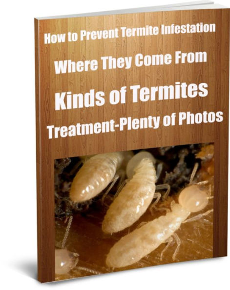 How to Prevent Termite Infestation Where They Come From-Kinds of Termites-Treatment-Plenty of Photos