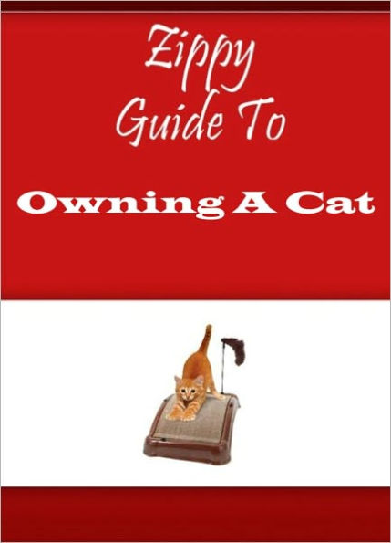 Zippy Guide To Owning A Cat