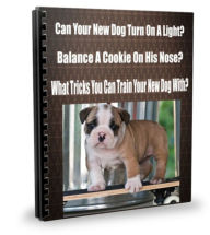 Title: Can Your New Dog Turn On A Light? Balance A Cookie On His Nose? What Tricks You Can Train Your New Dog With?, Author: Sandy Hall