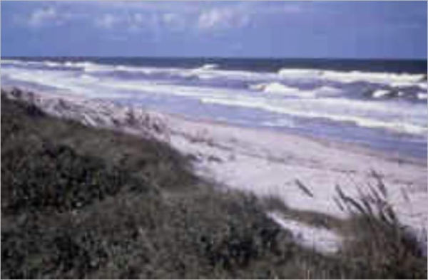 Sea and Shore-A Sequel to Miriam's Memoirs