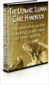 Title: The Ultimate Iguana Care Handbook, Author: Lou Diamond