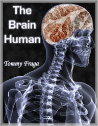 Title: THE BRAIN HUMAN, Author: Tommy Fraga