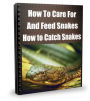 How To Care For And Feed Snakes How to Catch Snakes
